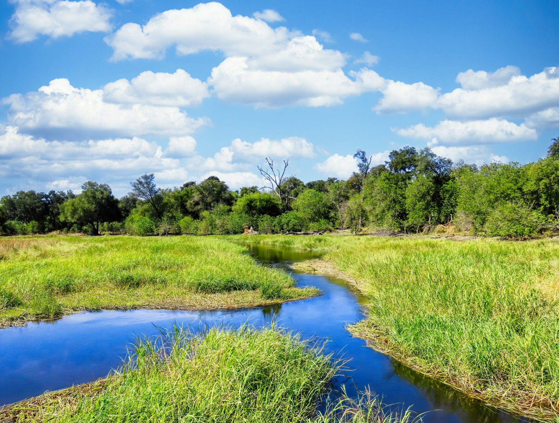 Wetland ecosystem and waterways