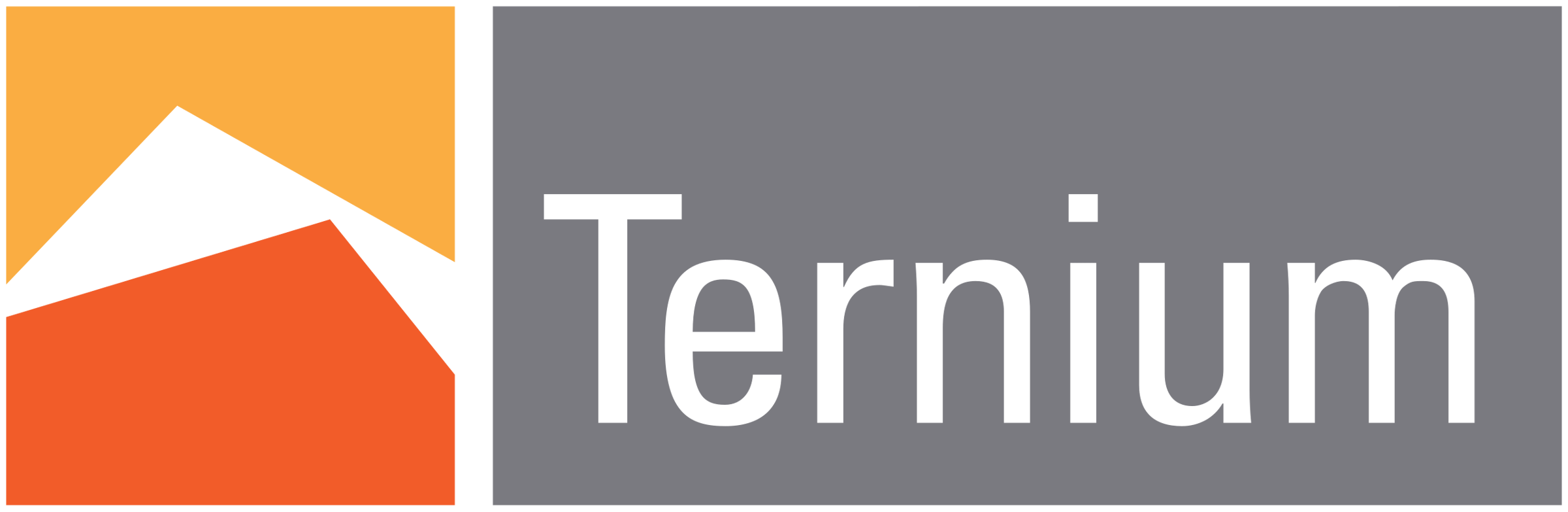 Ternium logo featuring abstract shapes in orange and black on a square with the word Ternium on a gray rectangle.