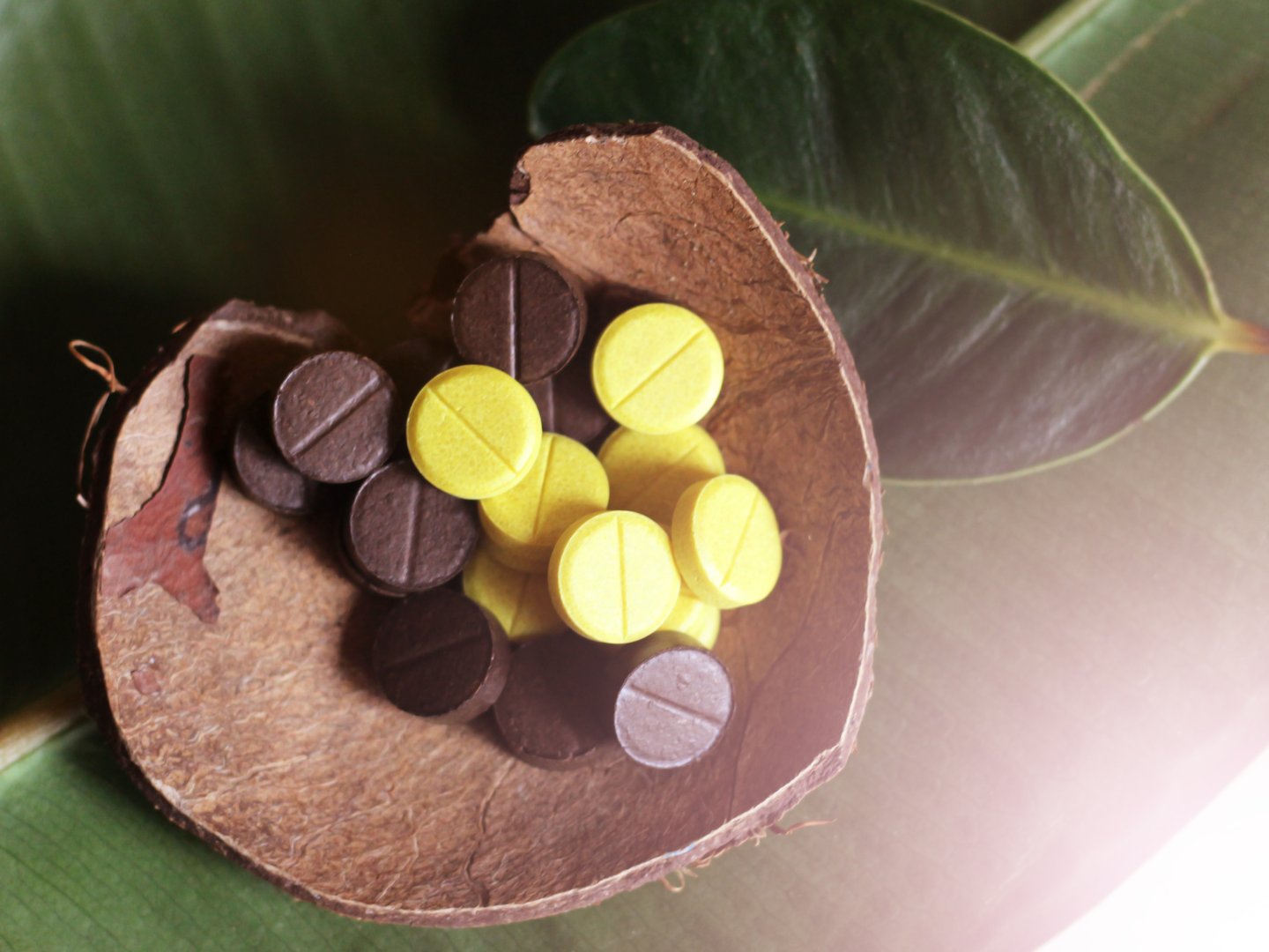 Medicinal capsules on coconut shell, natural medicine, health care