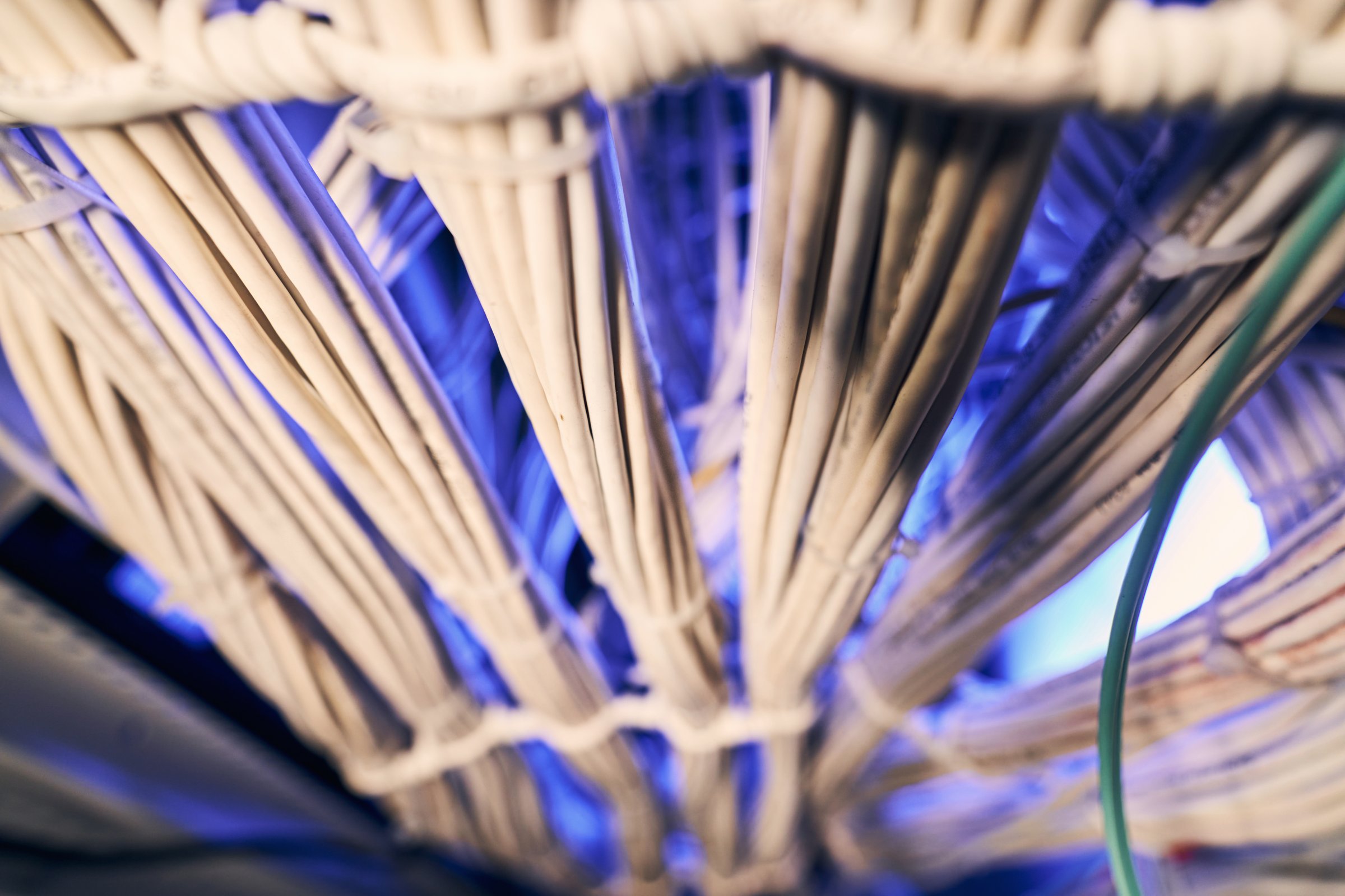 Closeup of bundled fiber optic cables fastened with clear plastic tie wraps and arranged on server rack