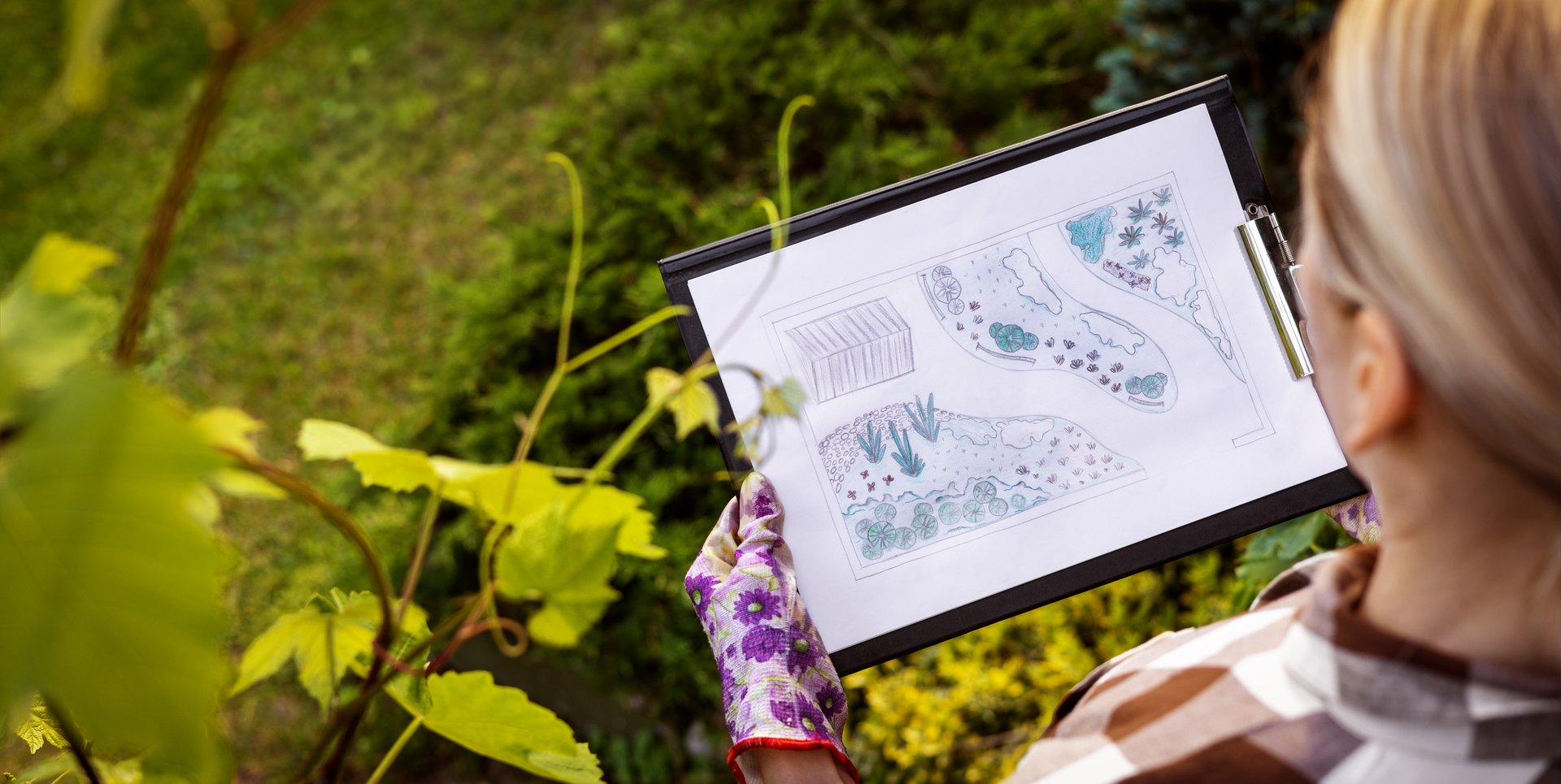 Woman gardener looking at ornamental garden plan