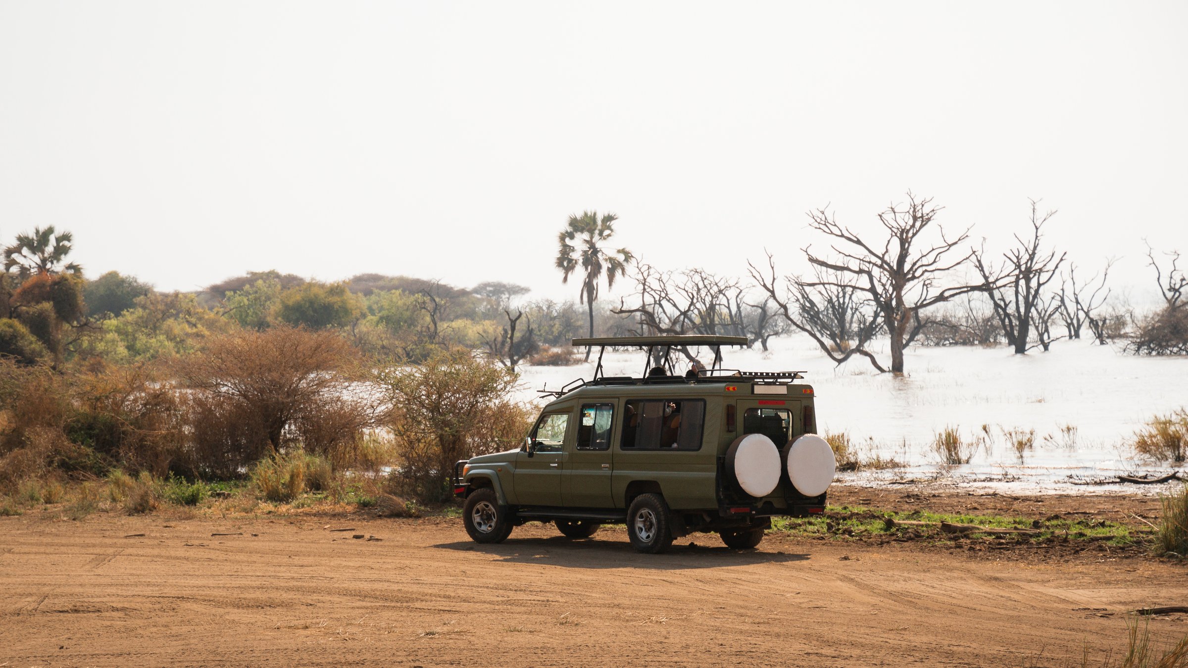Tourists enjoying a safari trip in tanzania, africa, observing wildlife from their parked vehicle near lake manyara