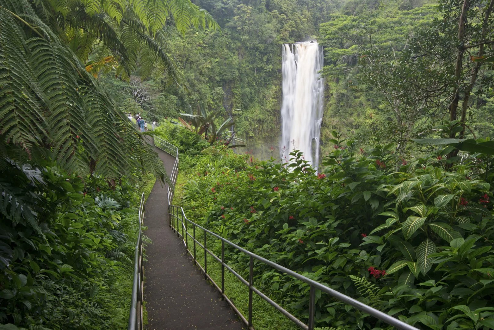 ʻAkaka Falls on the Big Island of Hawaii