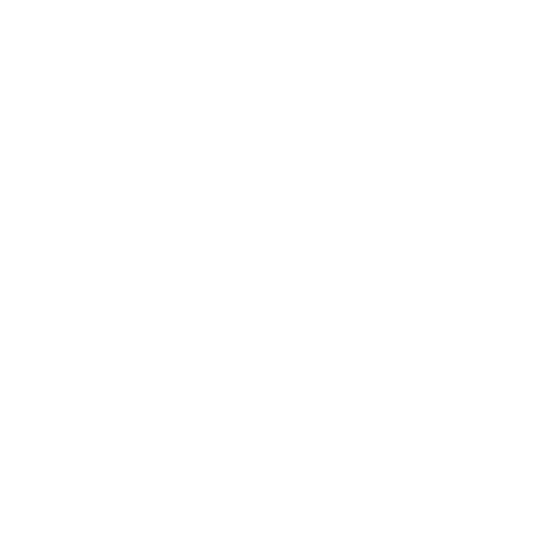 Niederlag Consulting Logo