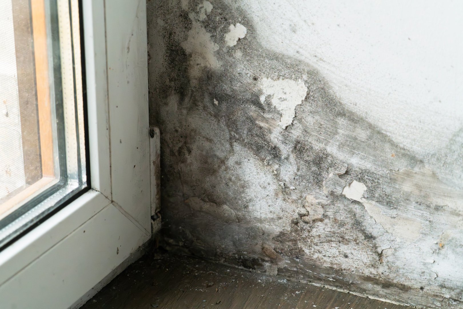 Dark mold patches are visible in the corner of a room near a window, indicating water damage and possible dampness problems. The area looks neglected and unkempt.