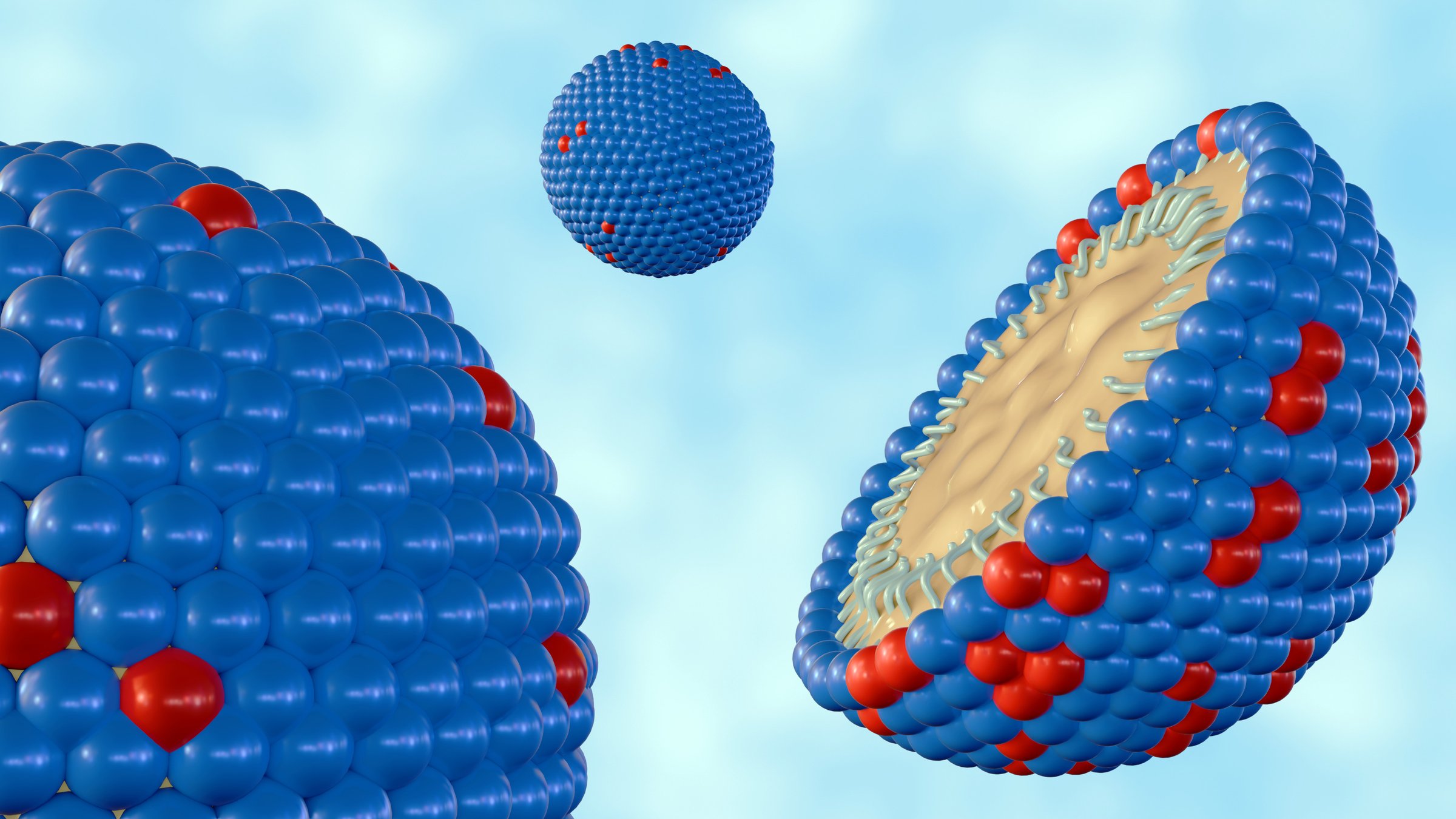 3d rendering of The nanoemulsions (NE) are tiny molecules that carry the drug components in its core