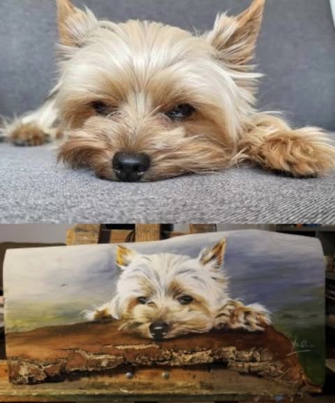 Zrealizowane zamówienie 38