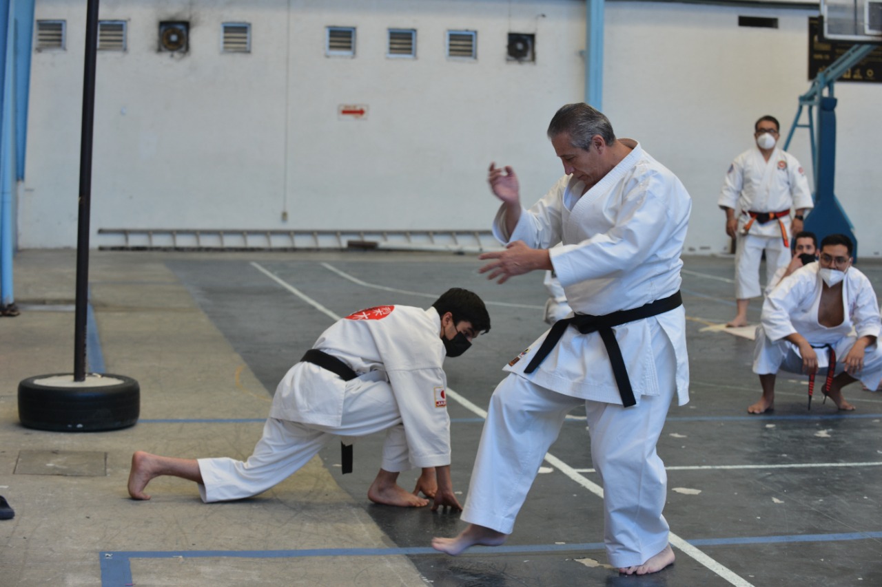 Dojo Image 3