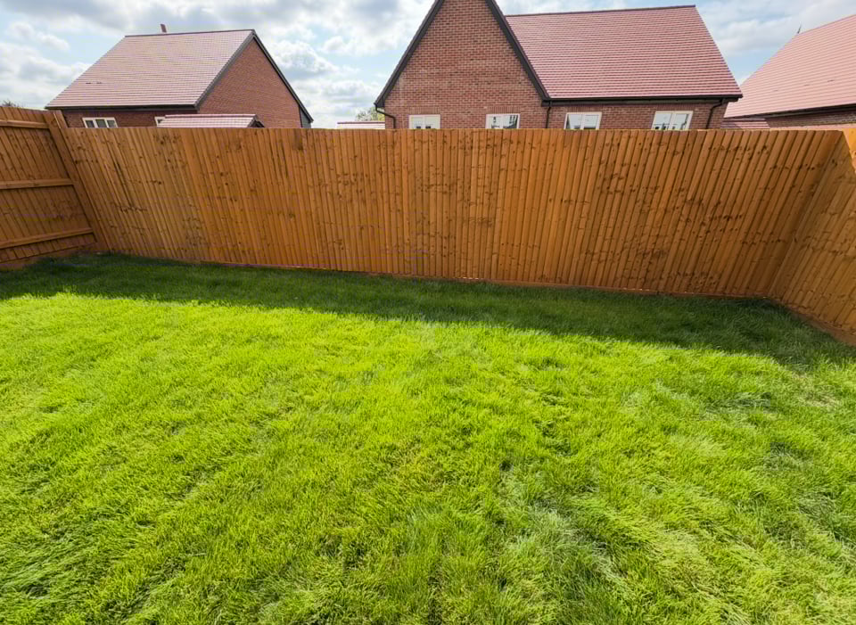 Garden before seasonal clearance and maintenance work
