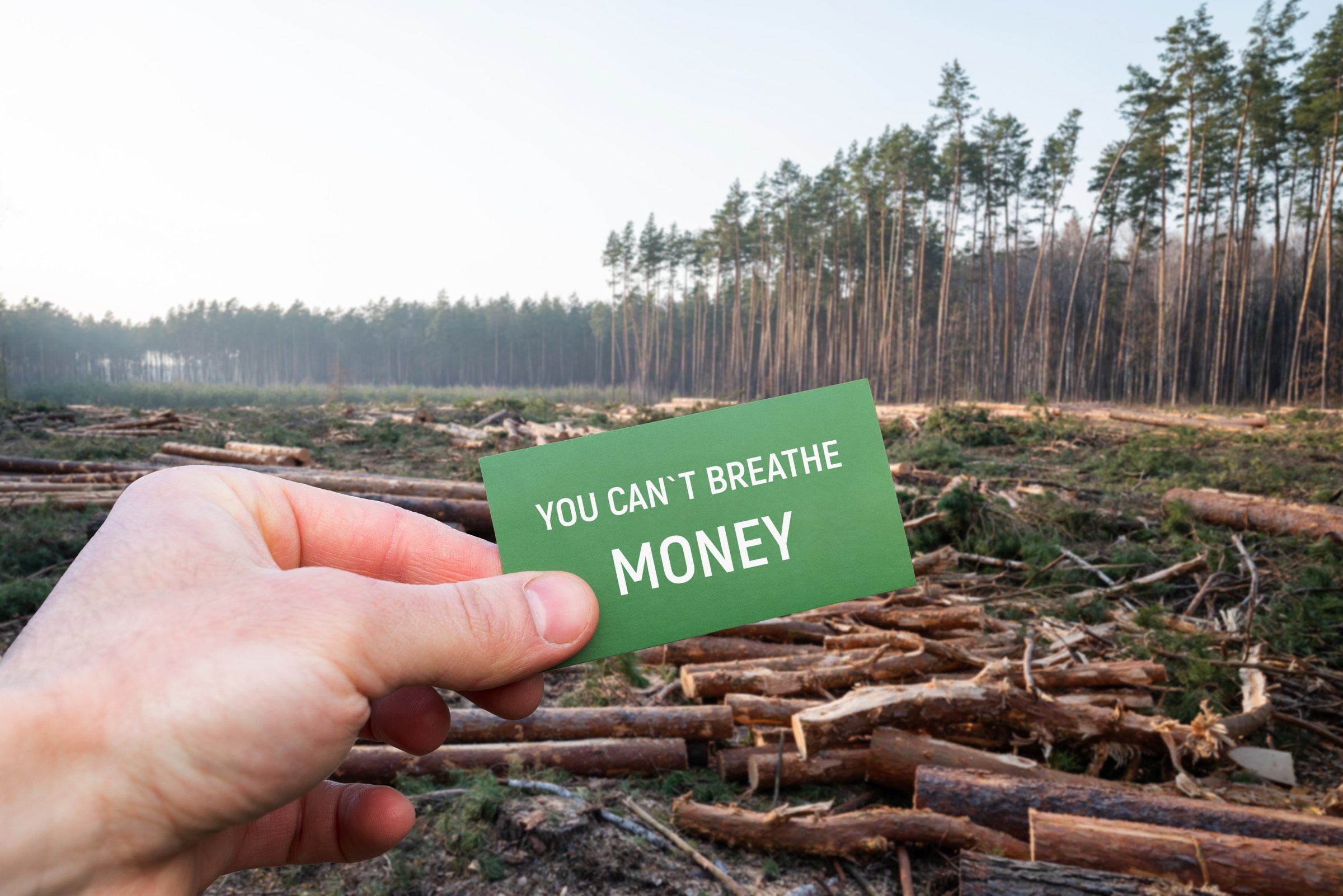 Coral reef restoration