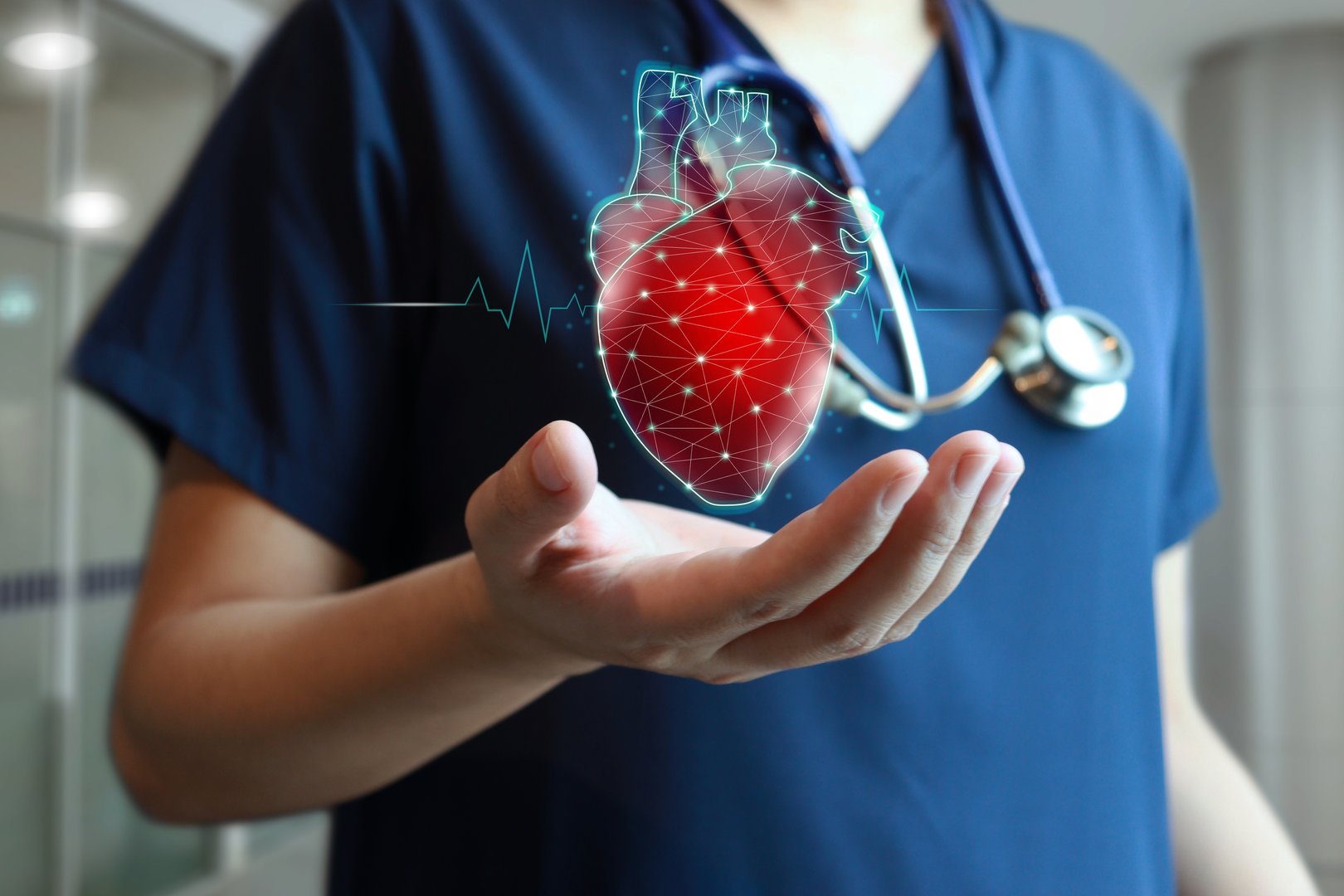 Cardiologist doctor hold virtual reality heart for cardiology healthcare concept. Heart disease.