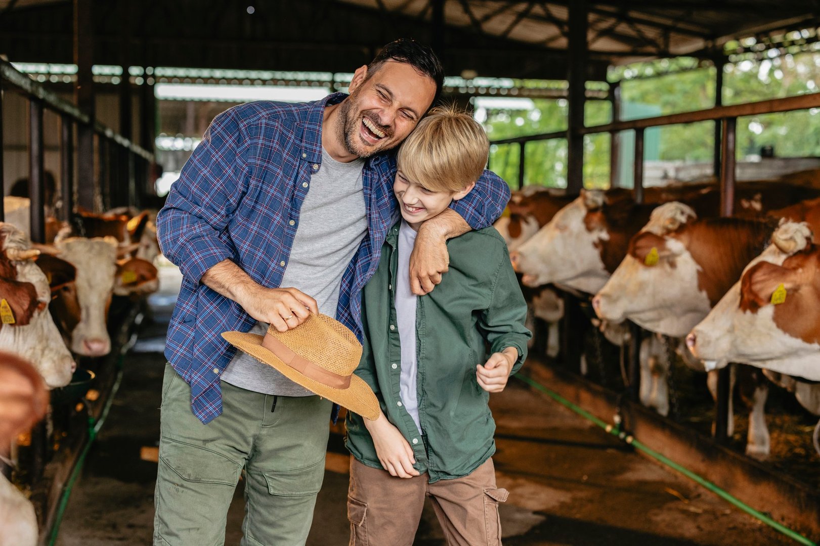 Father and son laughing together in a barn with cows, showcasing family life on a sustainable organic farm.