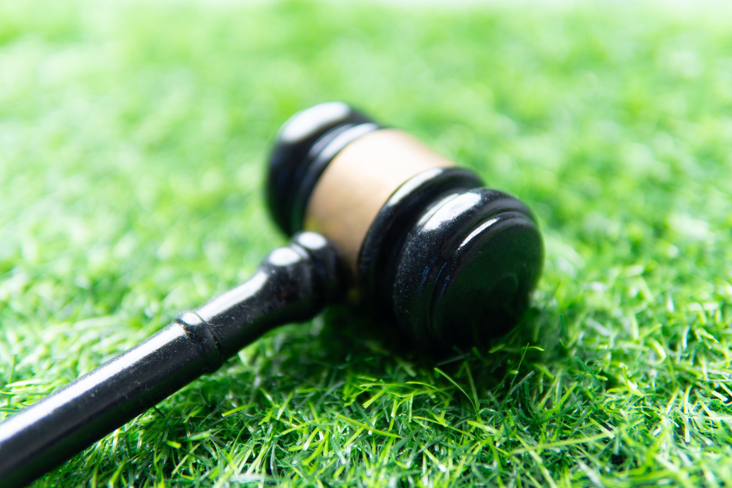 A wooden gavel on vibrant green grass. Environmental law, justice, and nature concept.