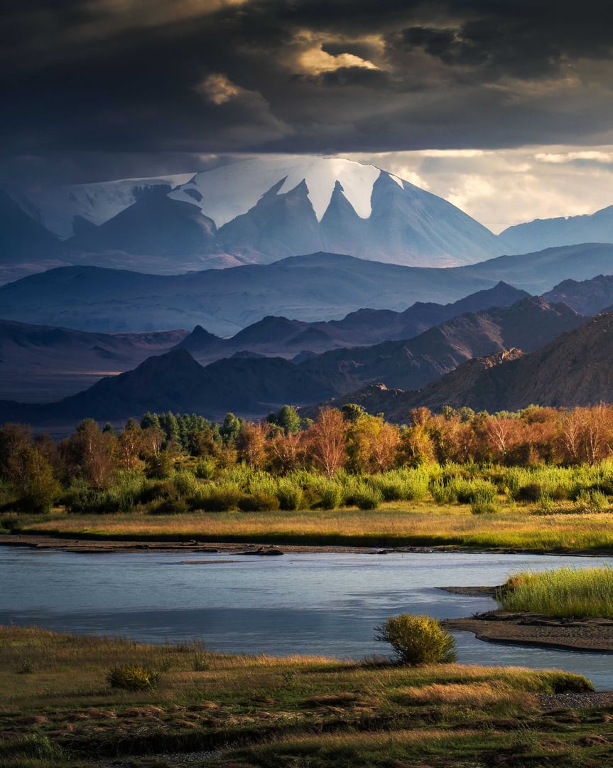 Paysage mongol avec chevaux sauvages