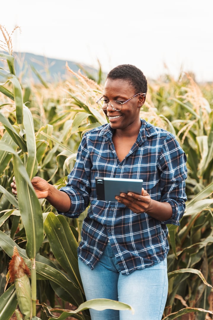 Smiling african farmer woman using tablet in corn field inspecting crops