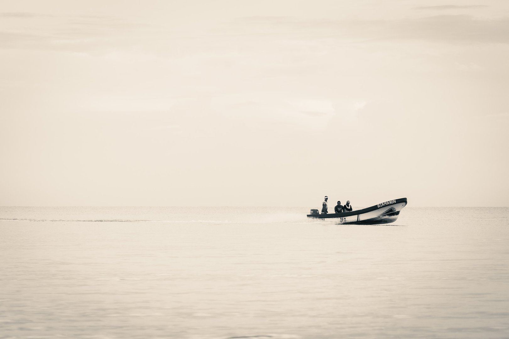 Portfolio background