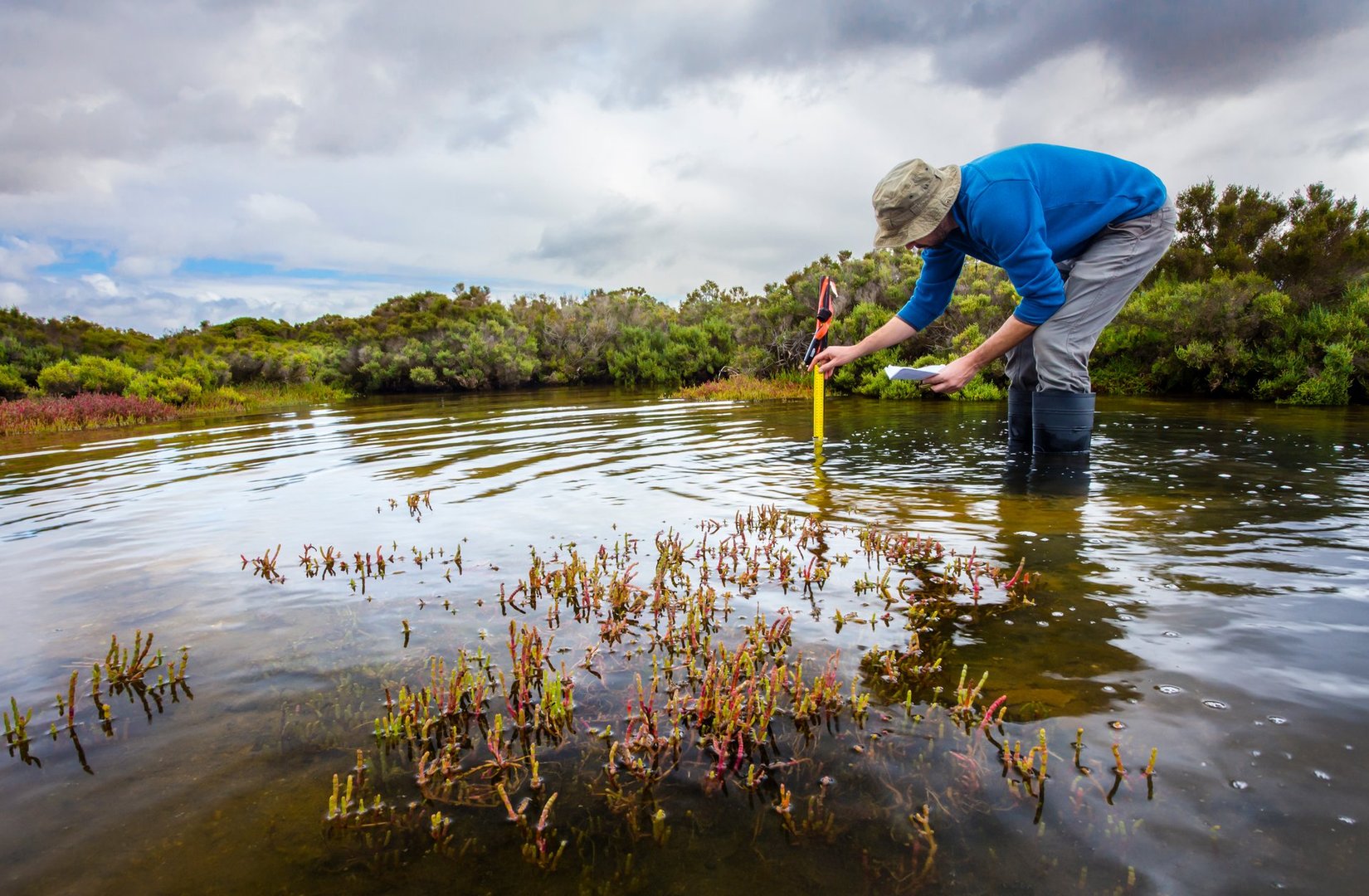 Scientist measuring water depth to install water level data loggers in a coastal wetland  to understand inundation period and impact on ecosystem services.