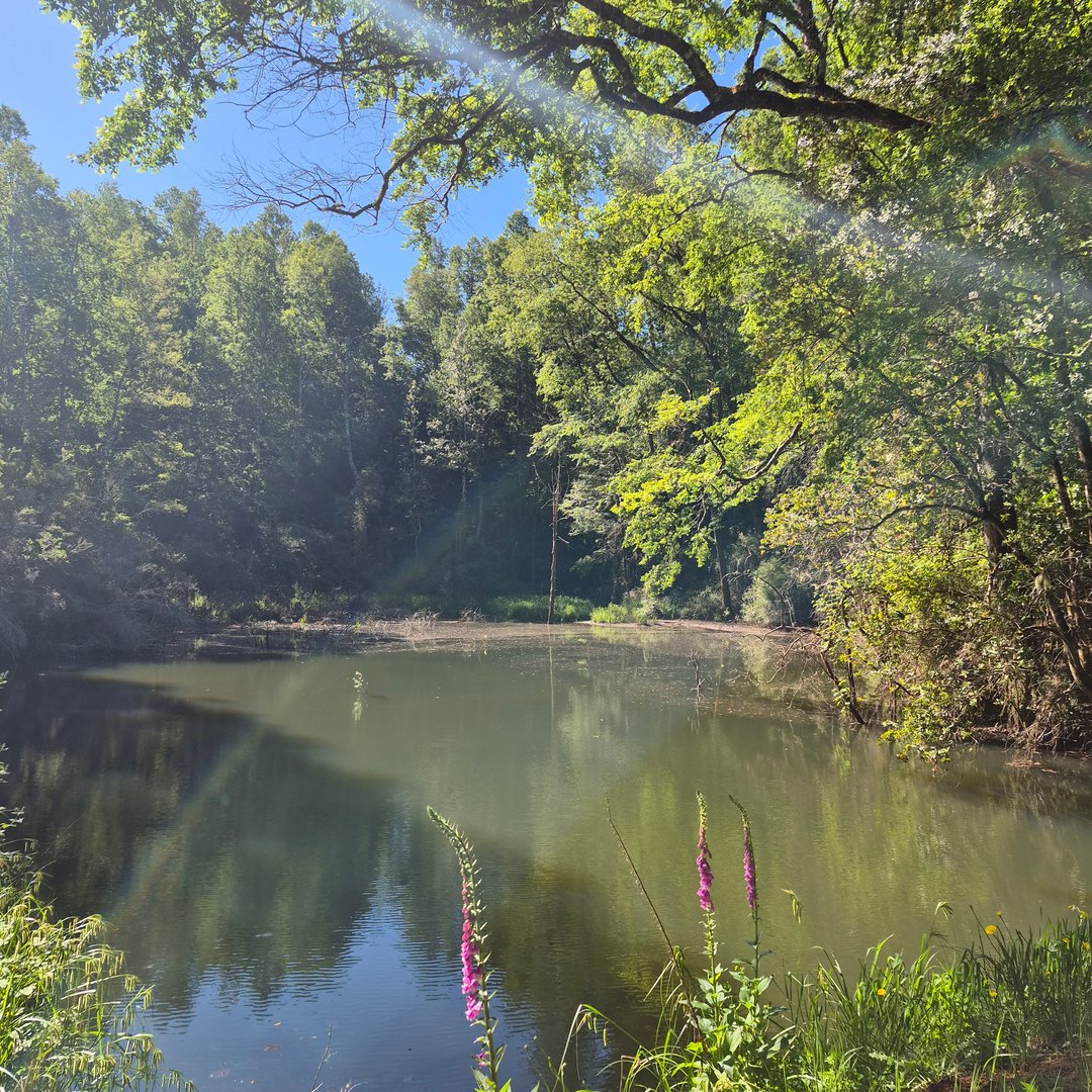 Vista del entorno y ubicación de las parcelas