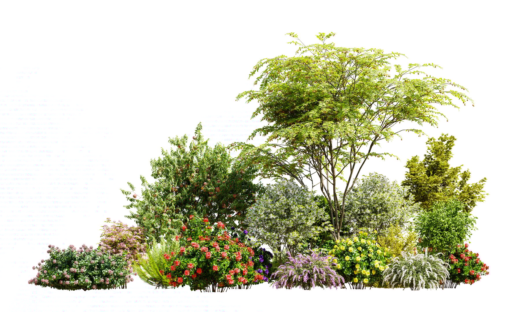 Beautiful garden plants, flower and trees isolated on white background. 3D render. 3D illustration.