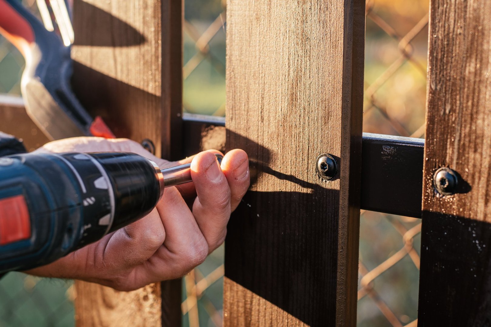 Hand of carpenter holding stud driving machine putting screw into wooden plank to metal construction for reconstructing wooden fence. Outdoor works. Chain-link fence background. Close up.