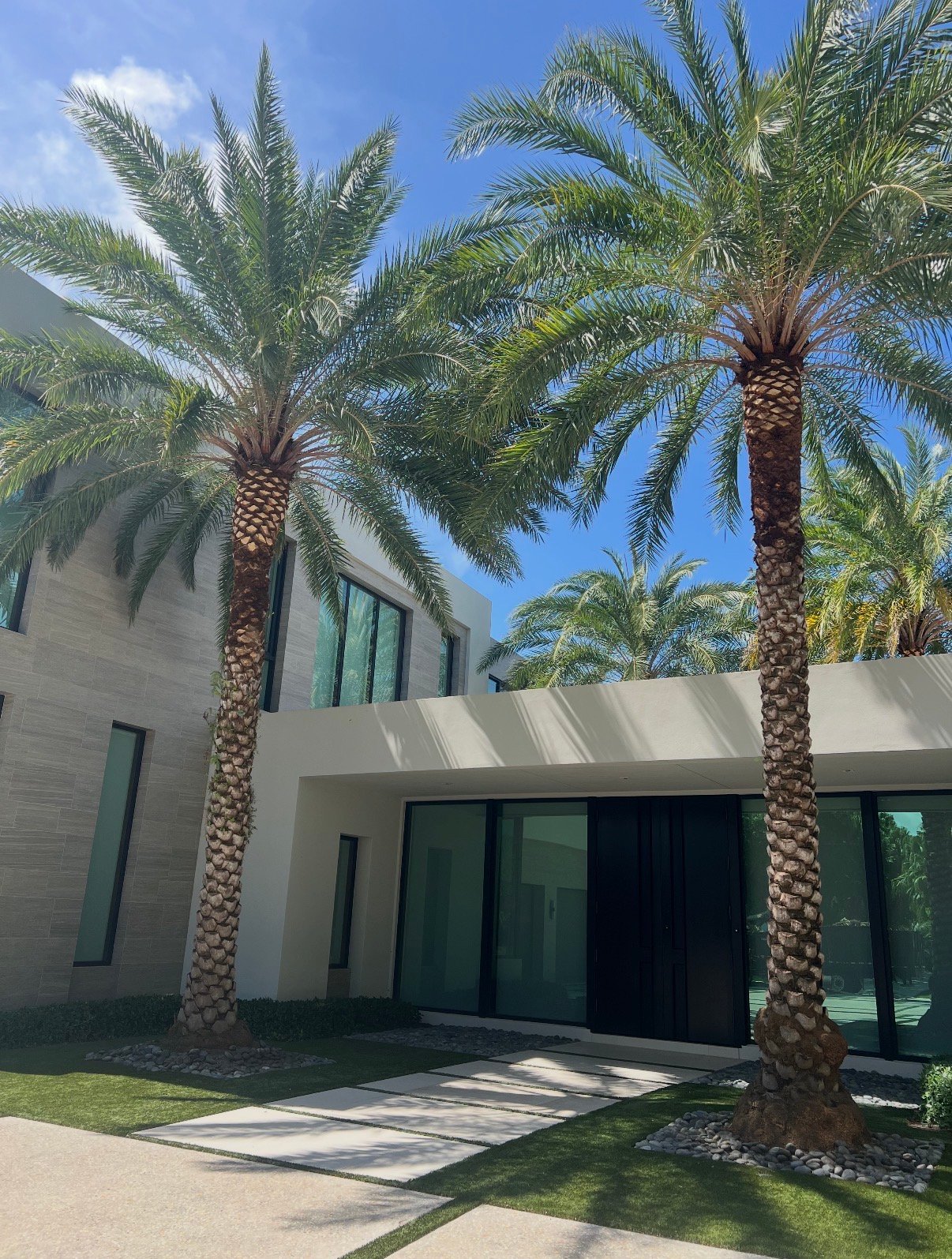 A Better Tree Florida - Landscaping