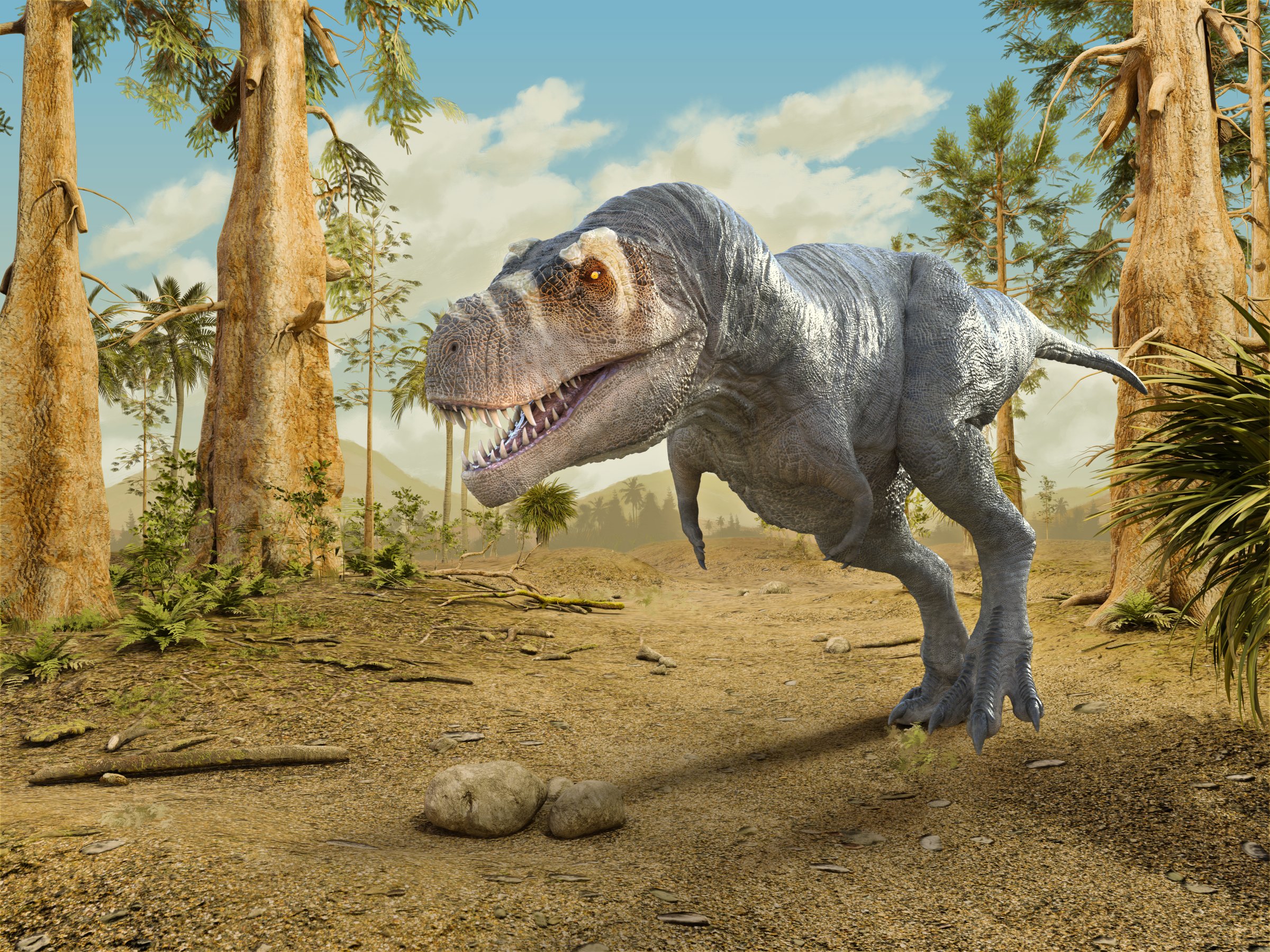 Tyrannosaurus rex walking in a primitive forest. Digital illustration, 3D  render.