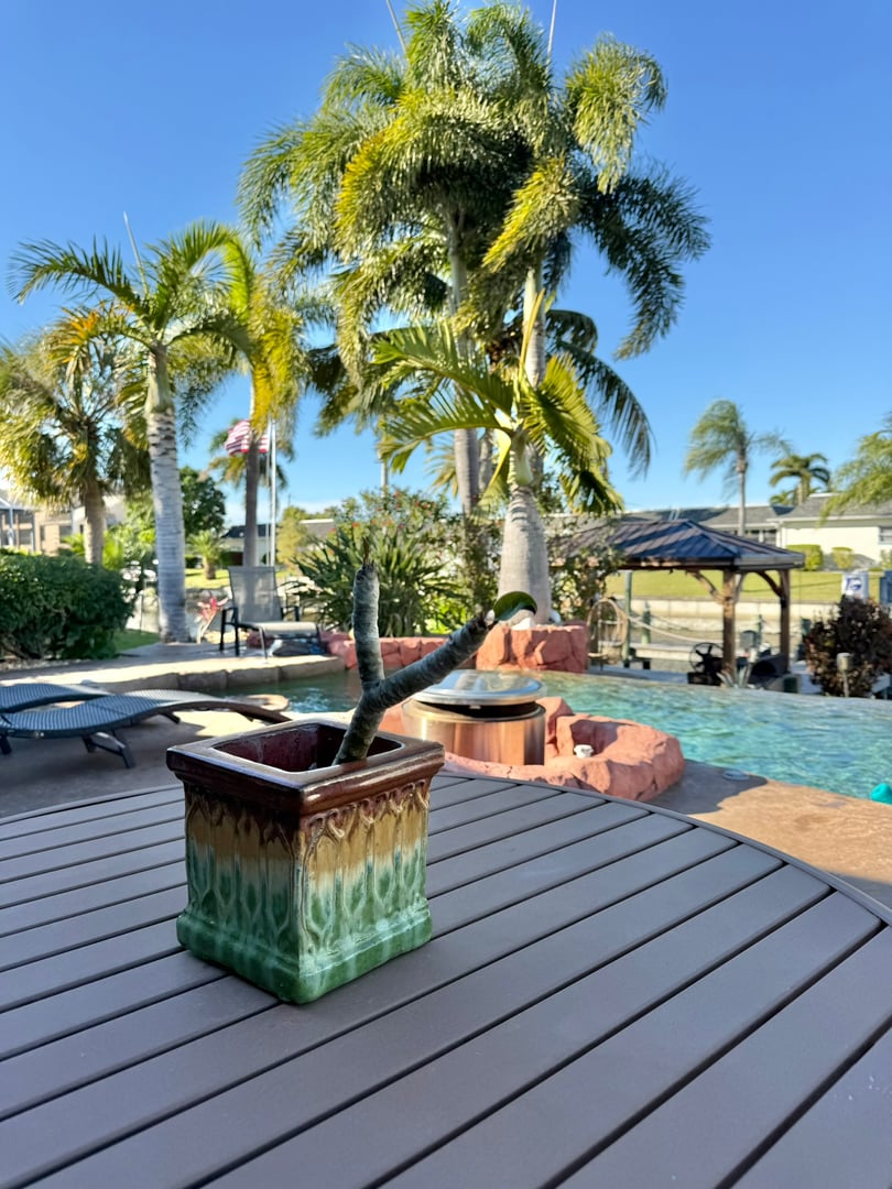 Pool area at Salt Life Villa