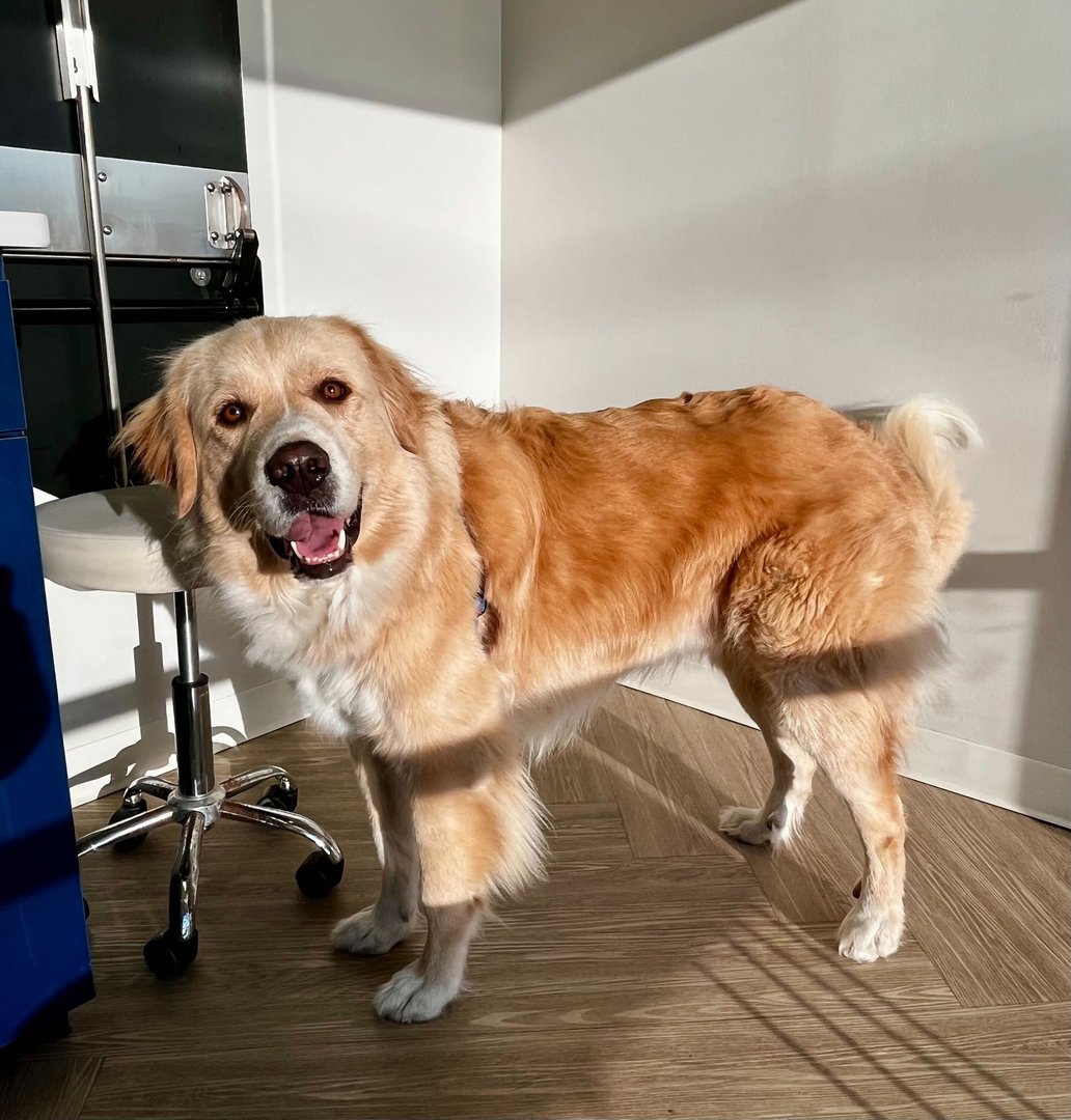 Real life Churro photo