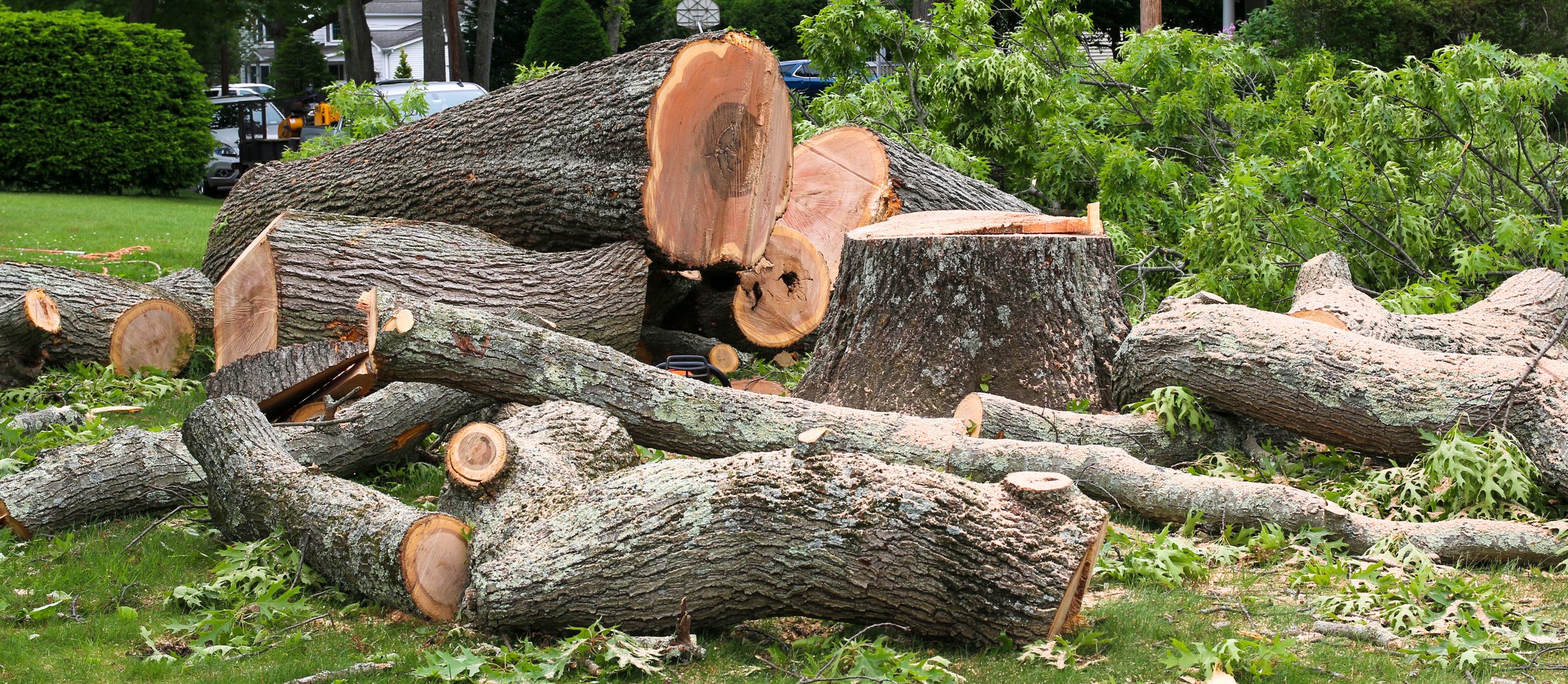 Tree stump and large portions of stump in a pile on a lawn after a tree removal company cut it down.