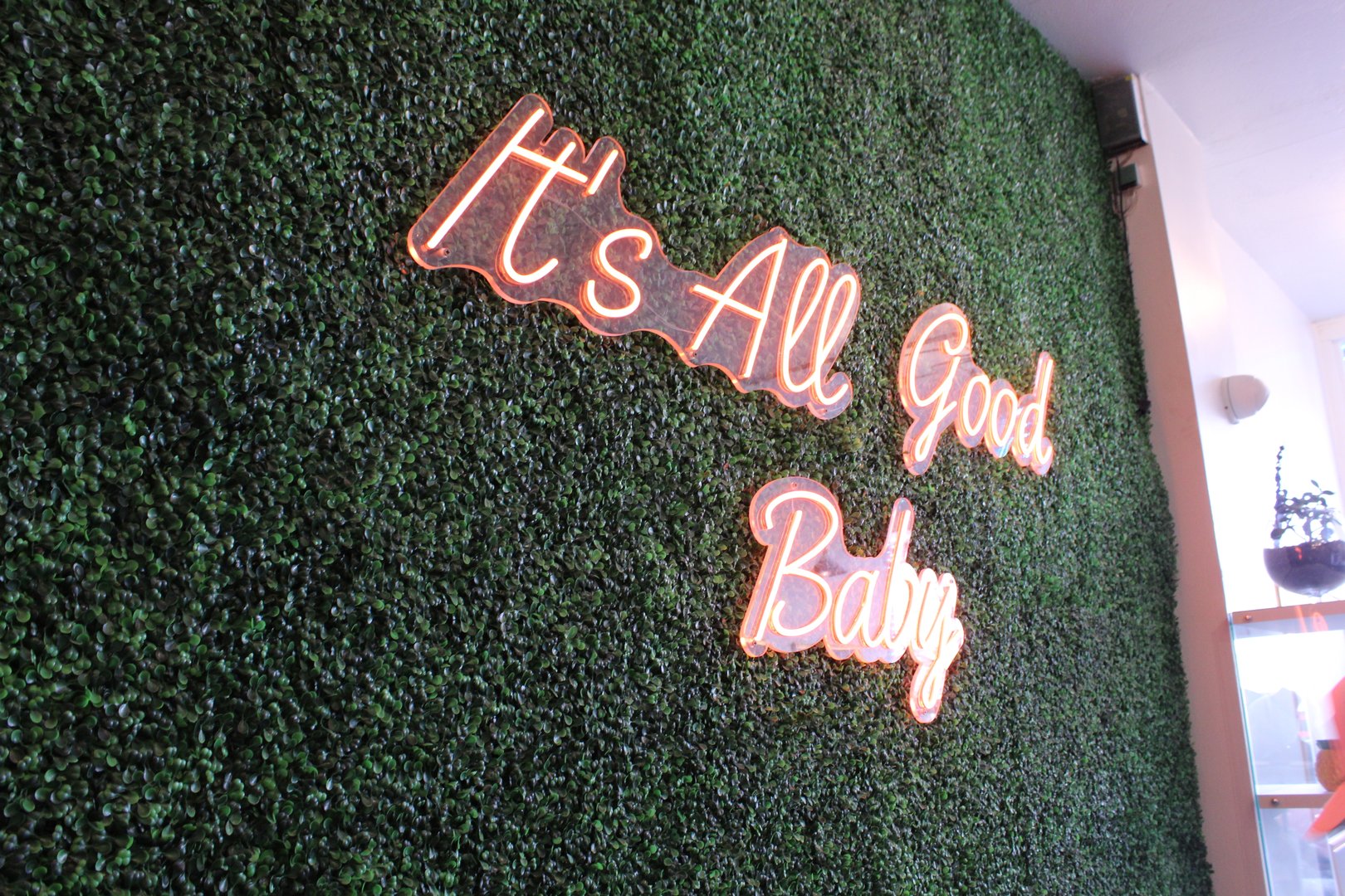 Bella's Bud Co Store Interior