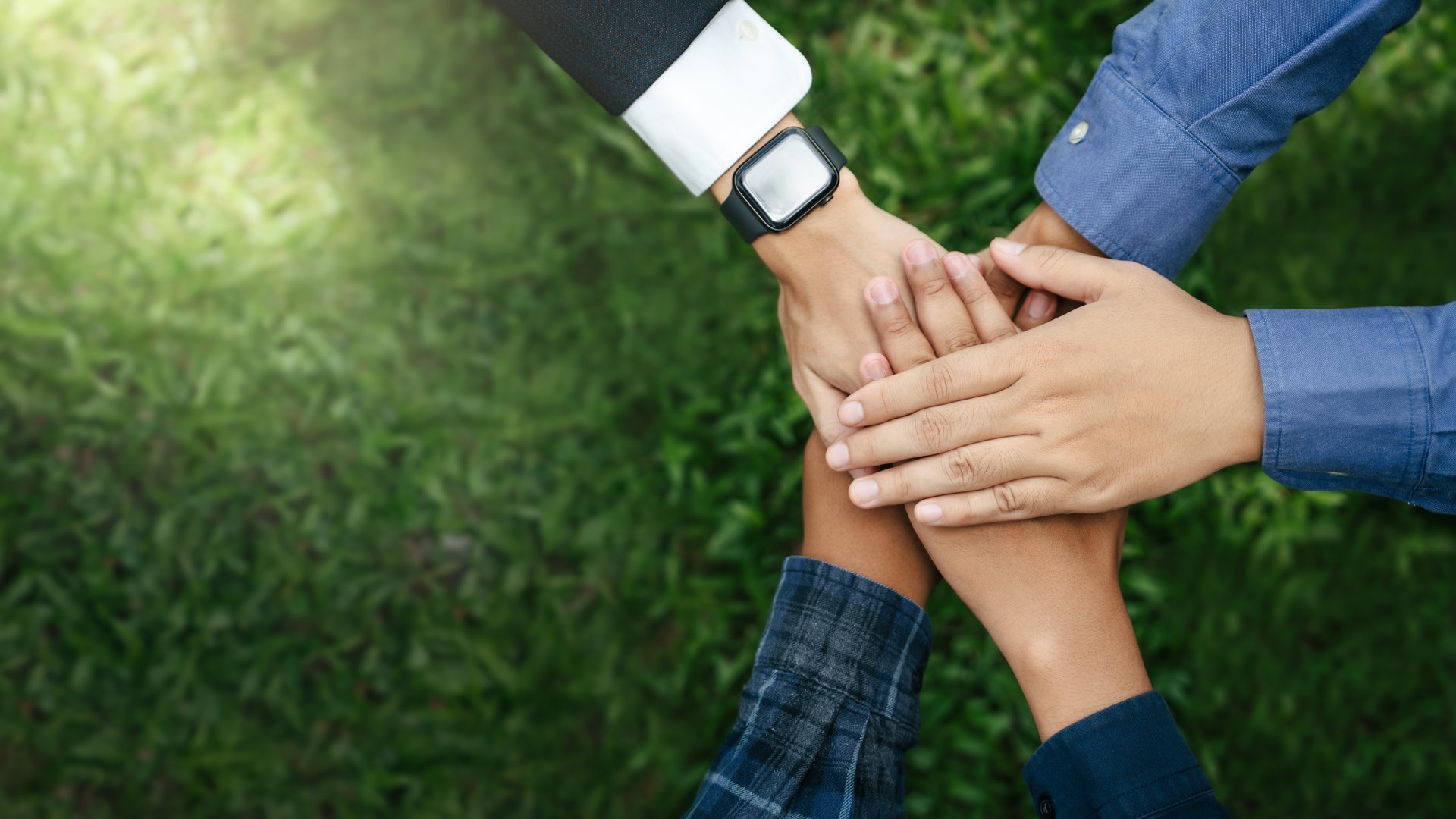 World environment day with global community teamwork, A group of volunteer, business joins hands together for cooperation of Social and environment sustainable development goal in ESG concept