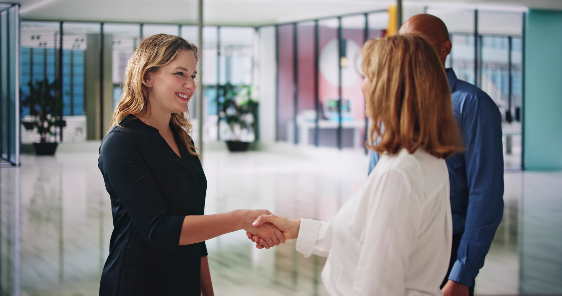 Diverse Business Persons Shaking Hands. Group Handshake