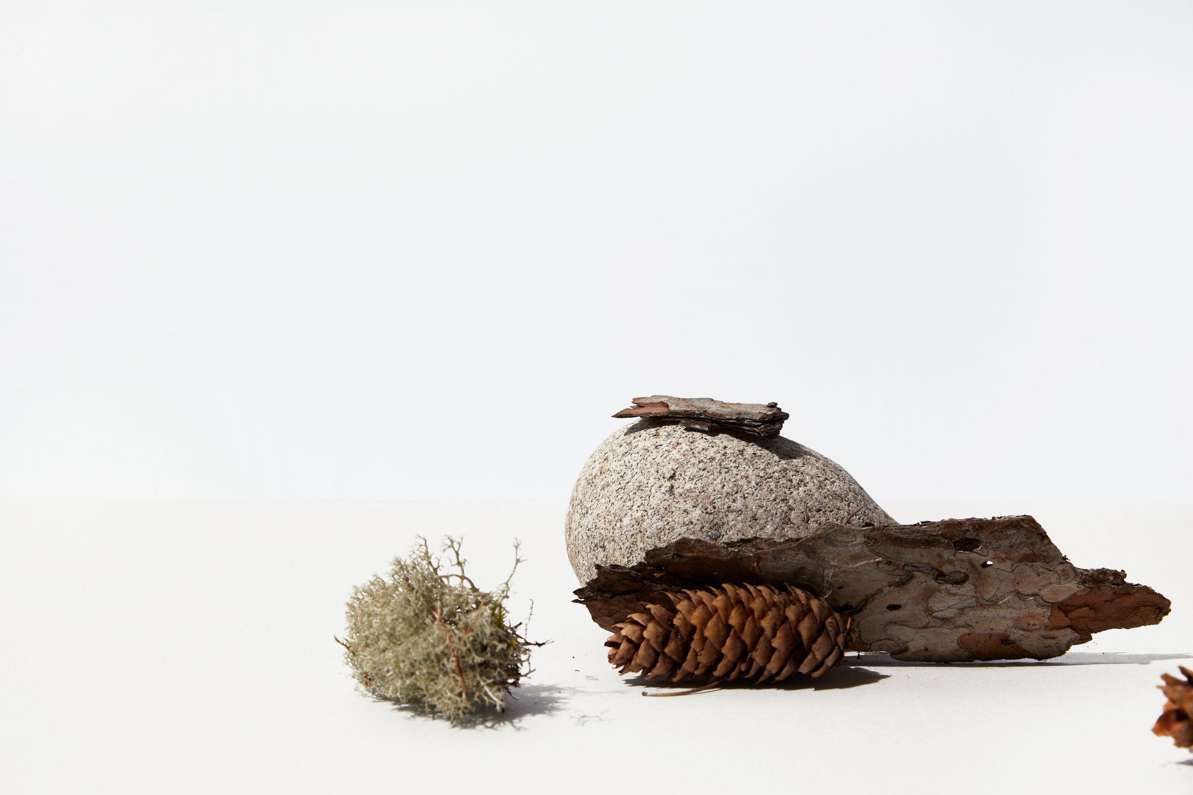 Minimal still life nature image with stone, wood and neutral tones in Helsinki, Uusimaa, Finland