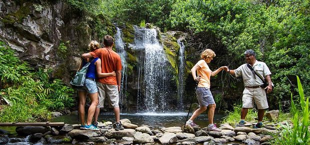 Kohala Waterfall Adventure hikers exploring lush tropical trails and scenic waterfalls