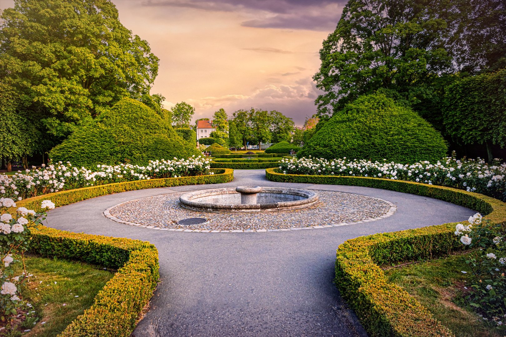Beautiful blooming old summer garden at sunset