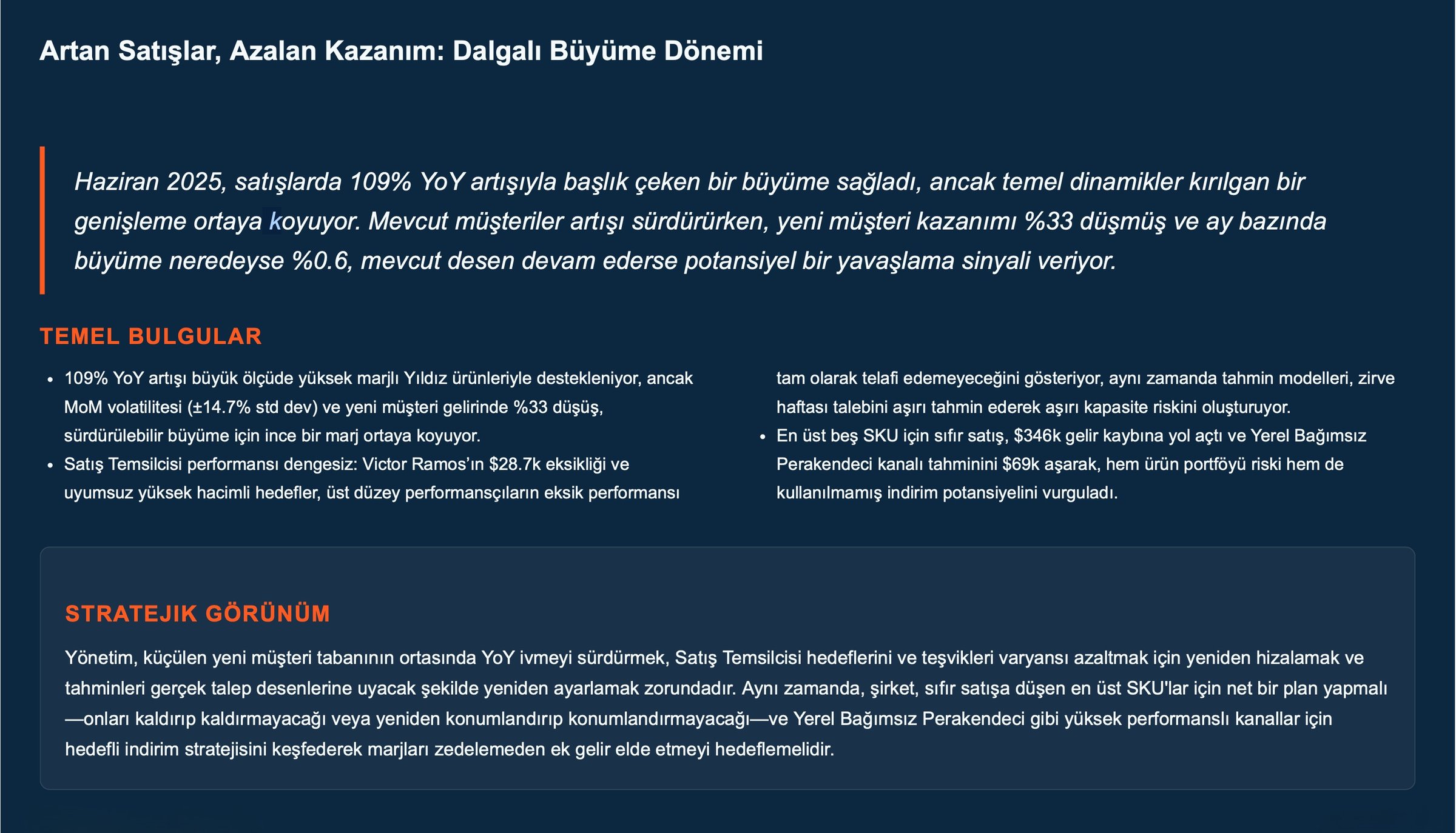 NovatekCloud AI Rapor Örneği 1