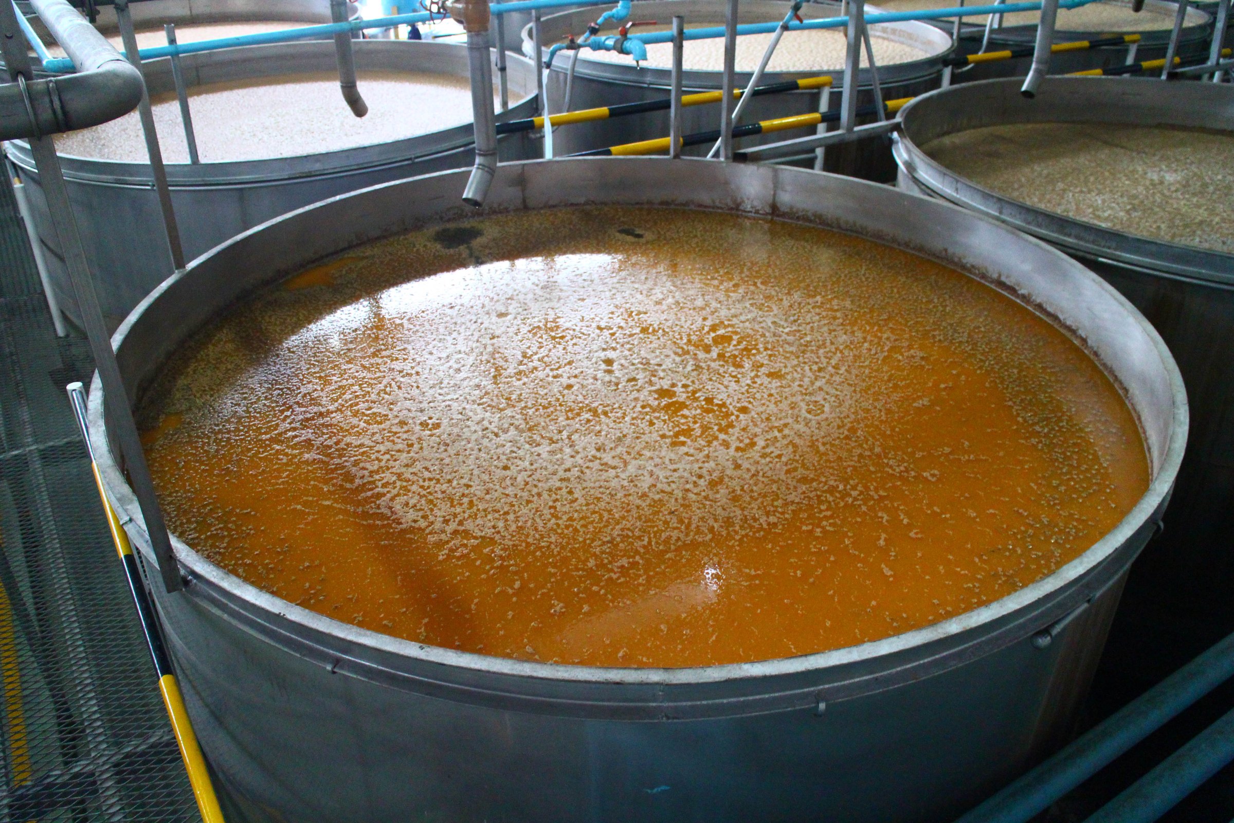 vats used to ferment tequila