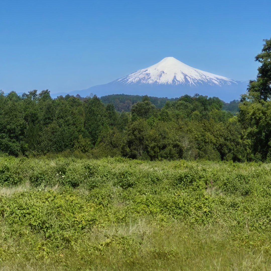 Acceso y caminos a las parcelas en excelente estado