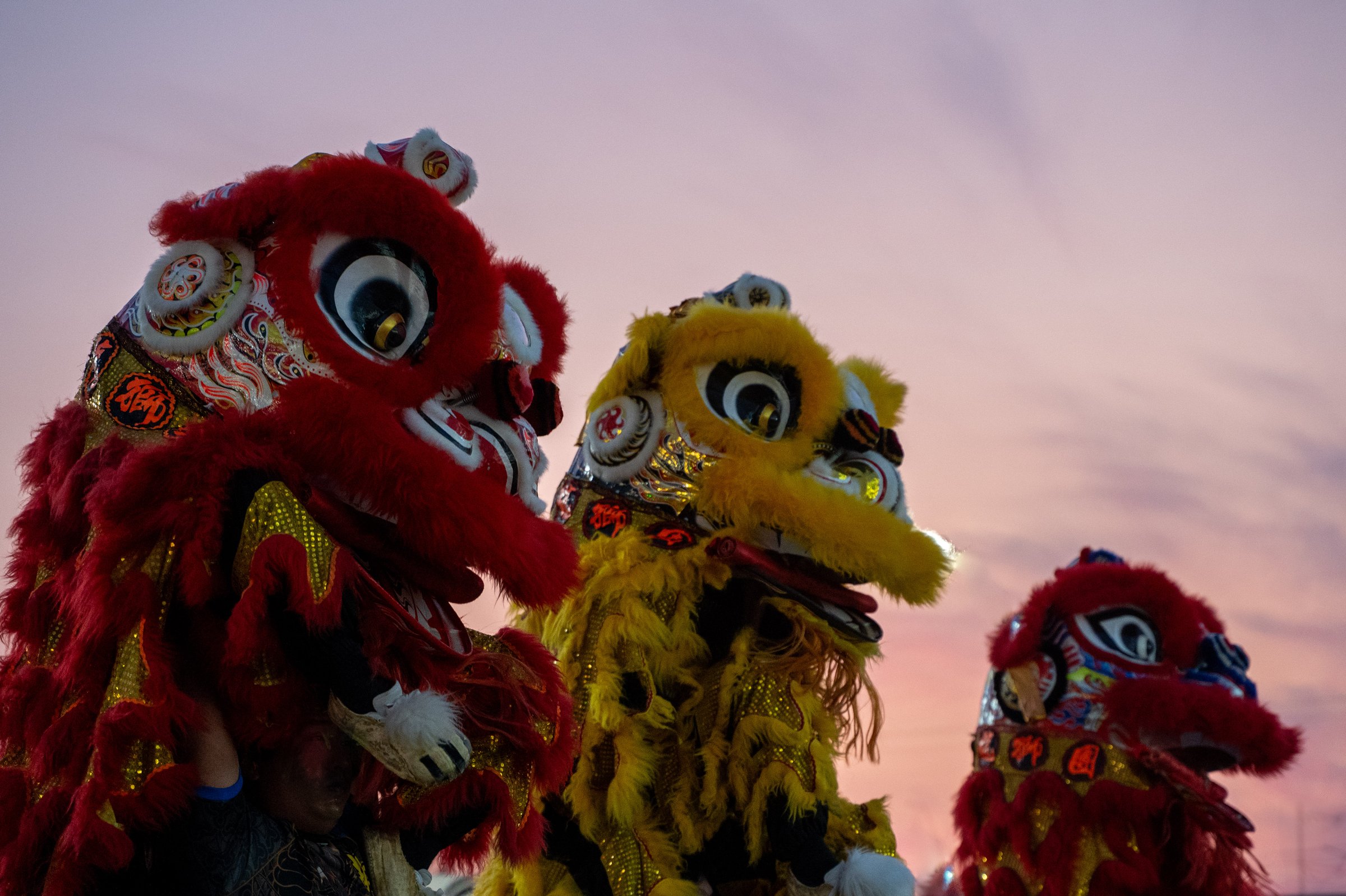 A close up image of Chinese dragons at a pop up performance for Lunar New Year in North Park, San Diego.