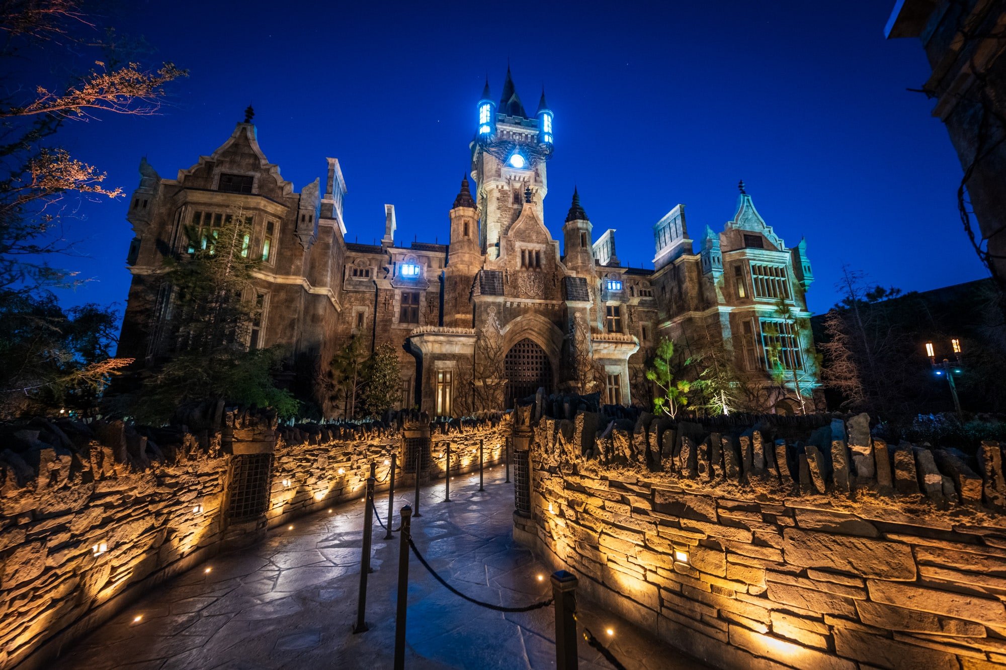 Frankenstein Dark Universe