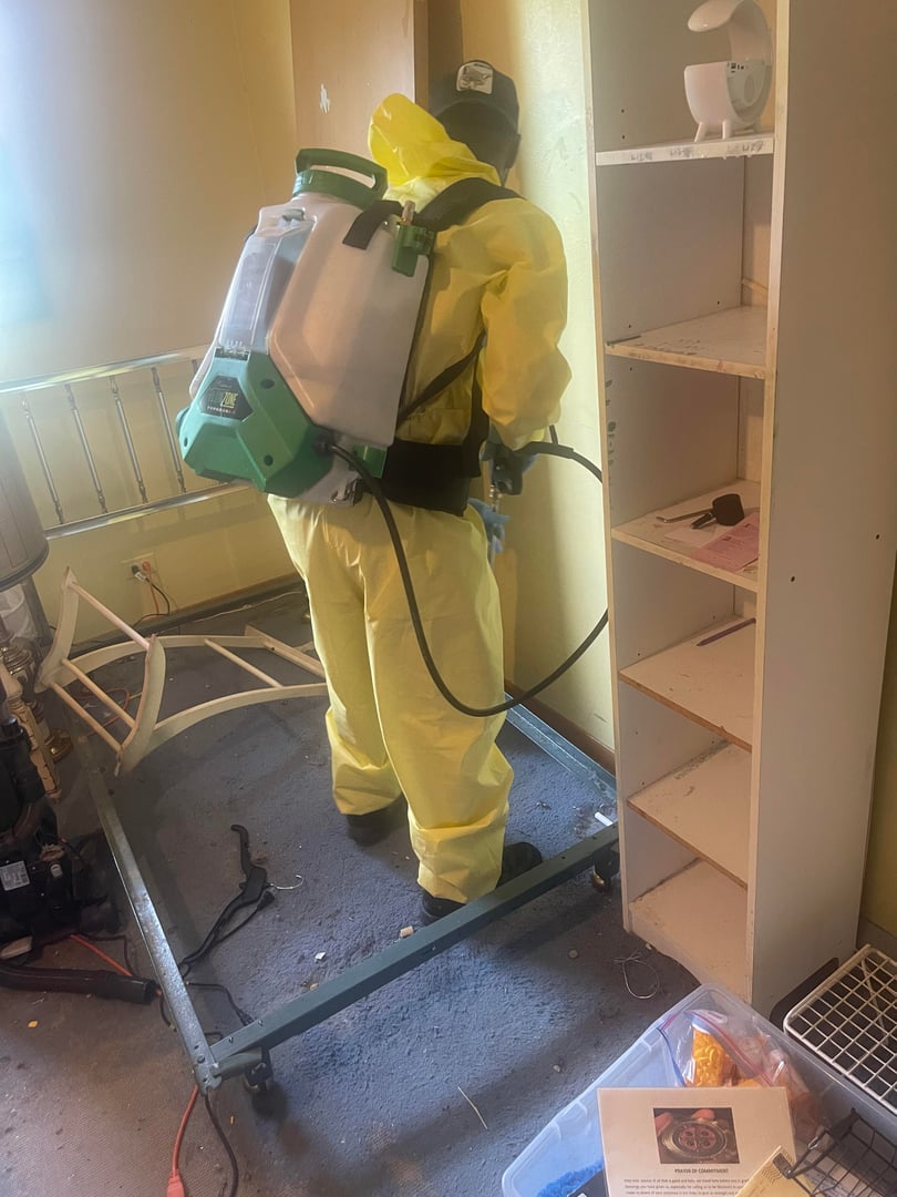 Residential pest control service