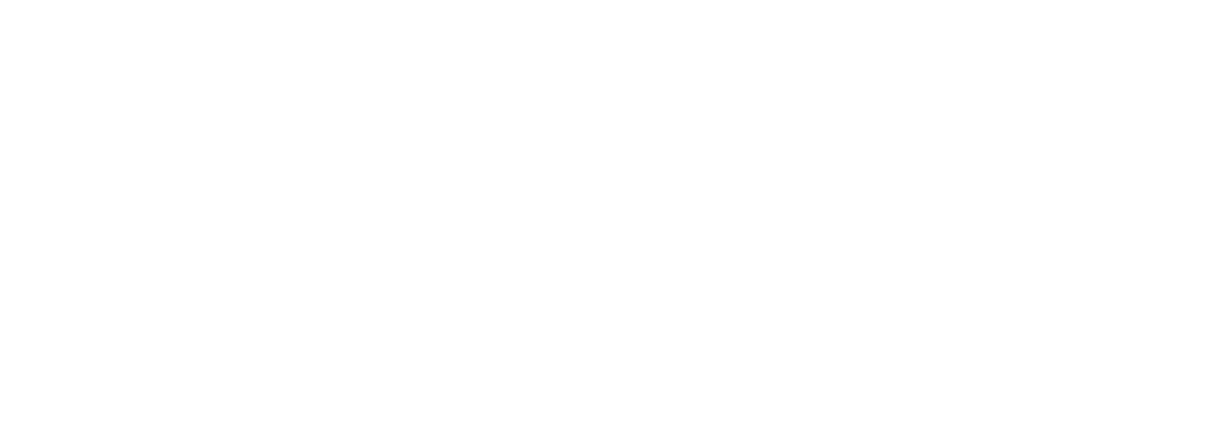 Artysta Security Logo