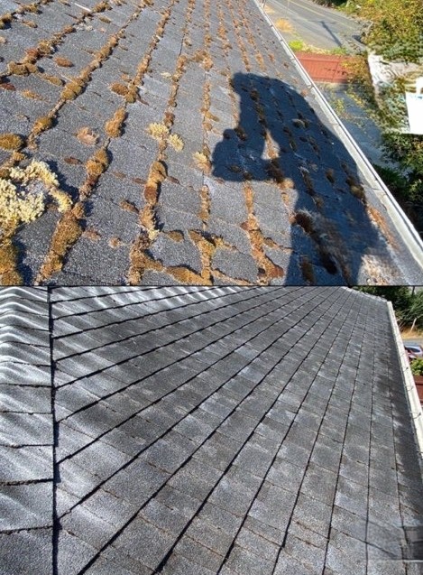 Professional moss removal service by Nicholson's Cleaning