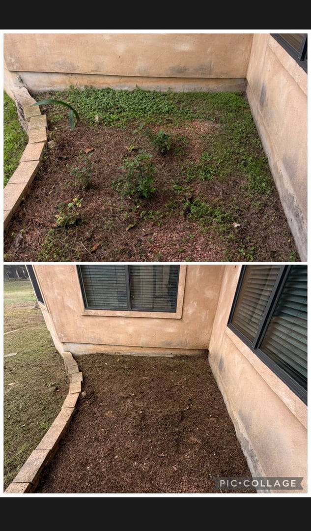 Rivas Lawn Care project photo