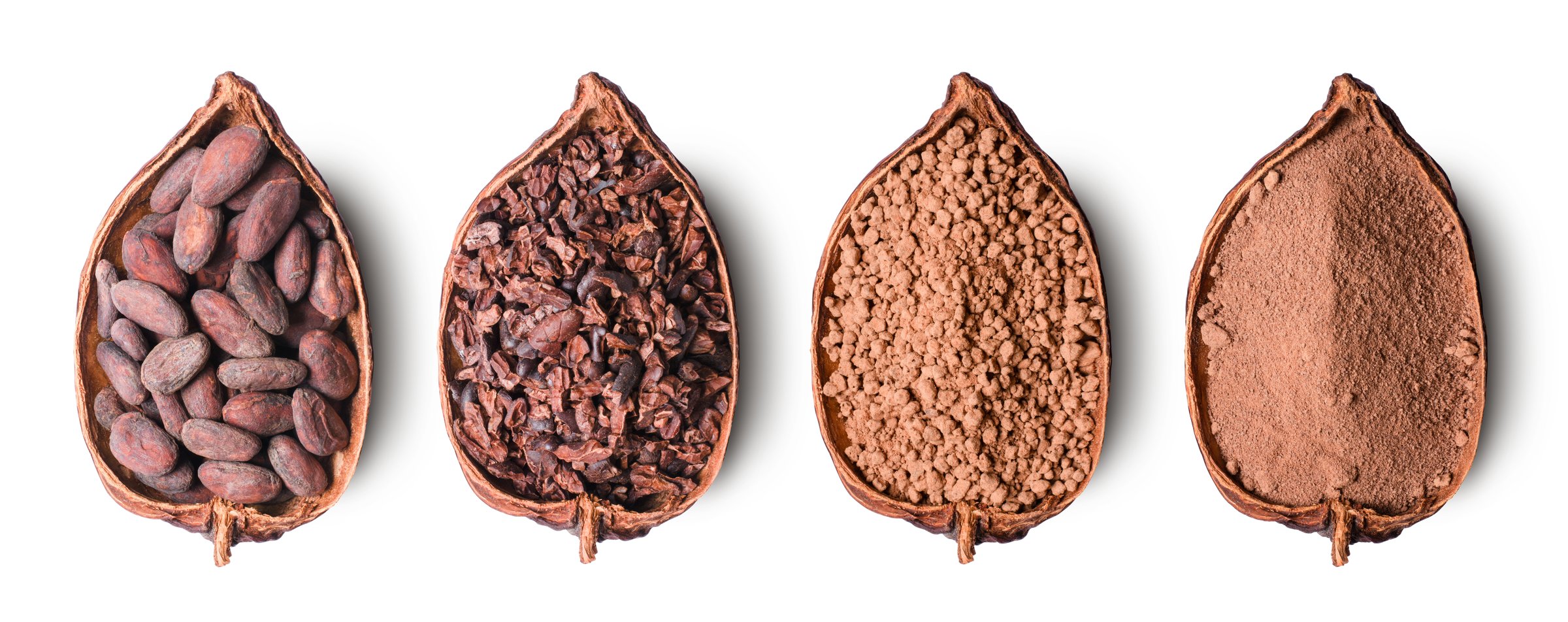 Cocoa bean, cocoa nibs, cocoa mass and cacao powder in cocoa pod half sliced isolated on white background. Top view, flat lay.  Chocolate ingredients concept.
