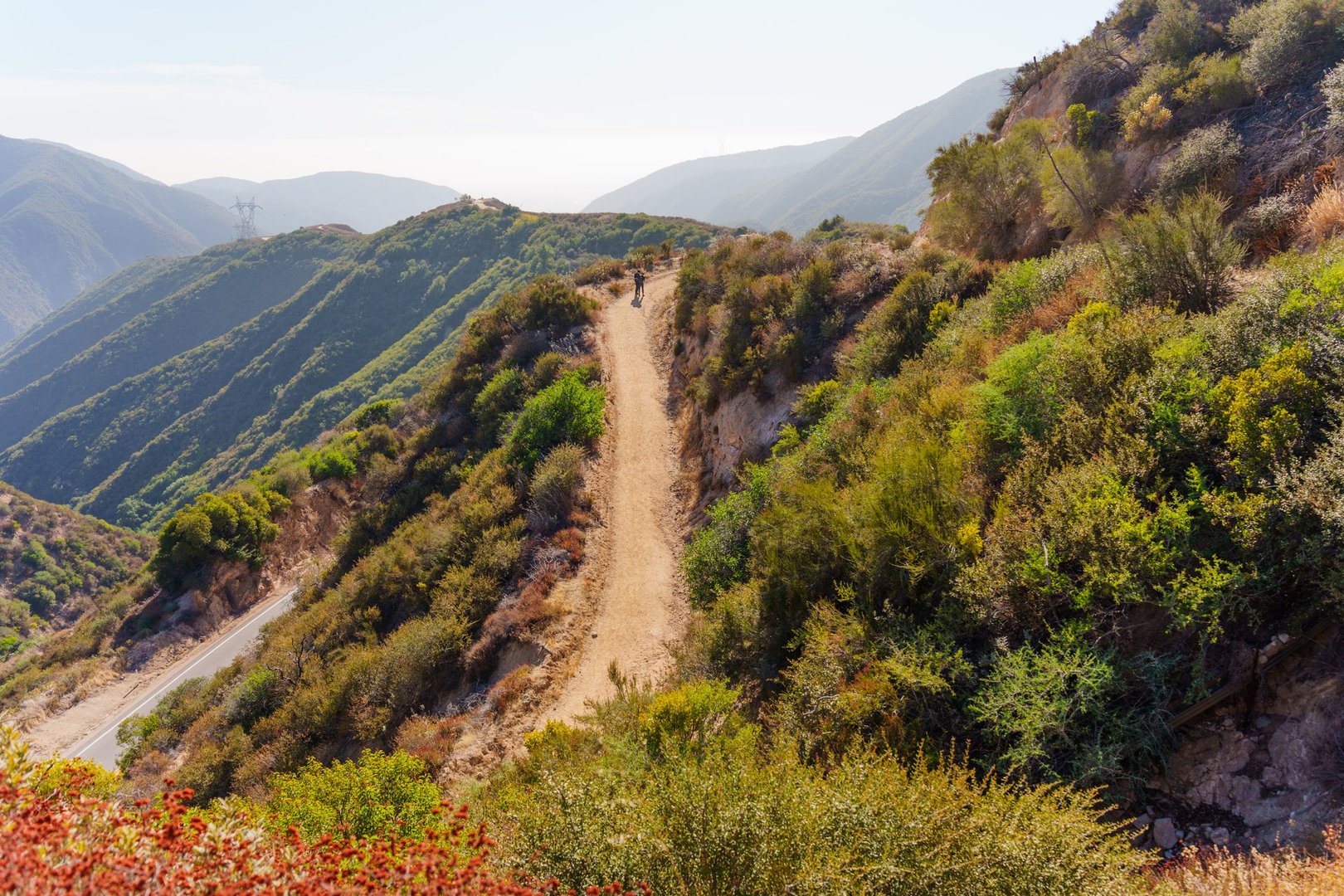 Hiker on a winding path through lush greenery in Angeles National Forest, Palmdale, showcasing scenic mountainous landscape.