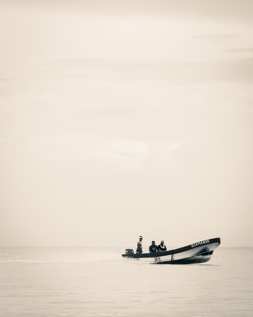 Portfolio background mobile