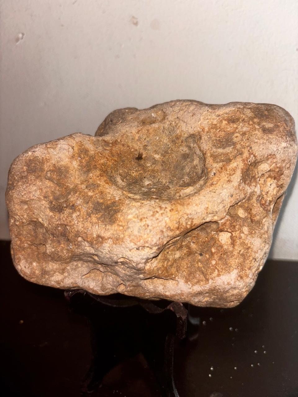 Espécimen Fósil con Incrustaciones Brillantes - 770g, 160 millones de años