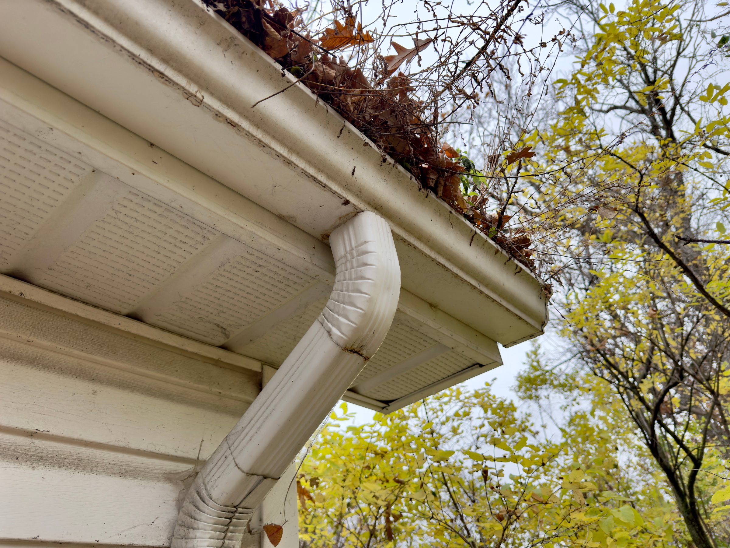 clogged gutter with dry leaves, white house facade, yellow autumn leaves on trees, overcast sky