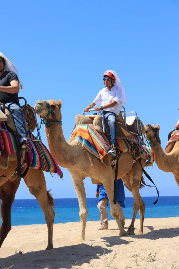 Camelback Desert Safari